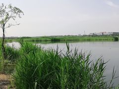 -绿堤公园