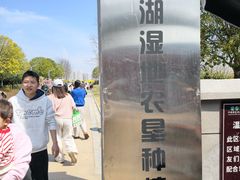 -洋湖国家湿地公园