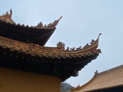 -普陀山风景名胜区-法雨禅寺