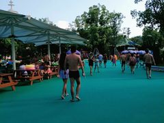 -苏州乐园森林水世界