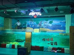 -顺德南宏海立方海洋公园