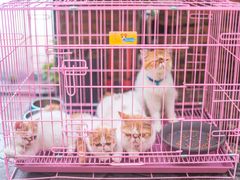 -花苑里咖啡(威远店)