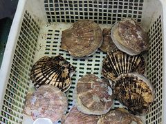 -鲜味食族水产·海鲜餐厅