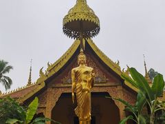 -西双版纳傣族园