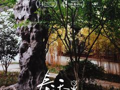 -南京民俗博物馆(甘熙故居)