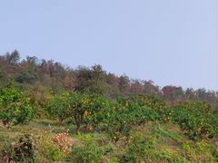 -青龙山国家森林公园