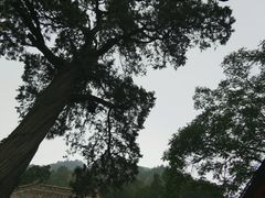 -北京上方山国家森林公园