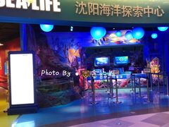 -沈阳海洋探索中心