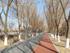 -大兴滨河森林公园