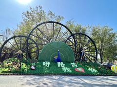 -呀路古热带植物园