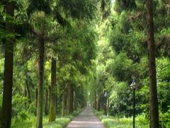 android_upload_pic-上海怡沁园度假酒店