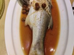 -光头匠