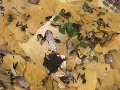 -丰乐餐厅·始于1999·本地老字号