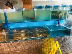 水产区-蓝珊甄选海鲜自助·火锅大排档(近阿那亚店)