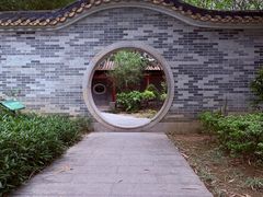 -顺峰山公园