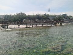 -养马岛旅游度假区