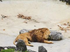 -贵州森林野生动物园