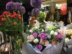 -宝鸡东道花鸟鱼虫市场(吉利花园商场店)