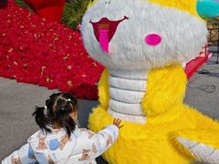 -黄海国家森林公园