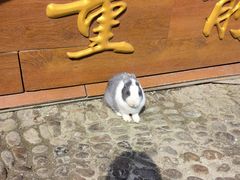 -前童古镇