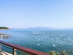 -深圳湾公园(南山区)