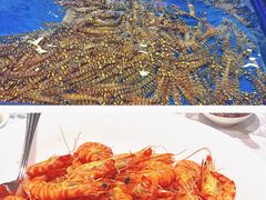 -万宝海鲜舫(劳动公园店)