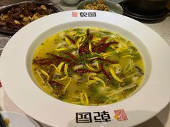 老坛酸菜鱼-乾园(天河城店)