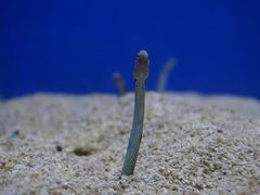 -洛阳龙门海洋馆