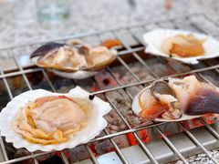 -震海贝烤贝·民俗特色店(延吉总店)