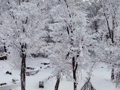 -中旅松花湖滑雪场