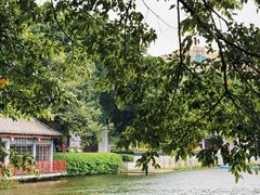 -荔湾湖公园