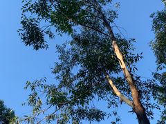 -火炉山森林公园