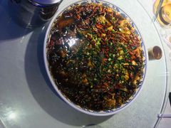 -新概念来凤鱼(璧山店)