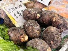 -五里多农博广场