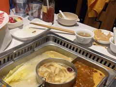 -巴奴毛肚火锅(九洲店)