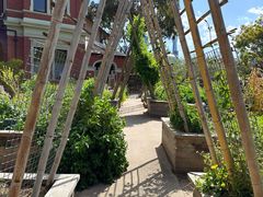 -墨尔本皇家植物园