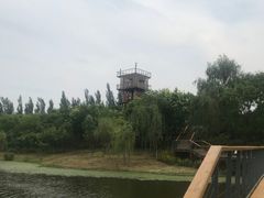 -东郊湿地公园