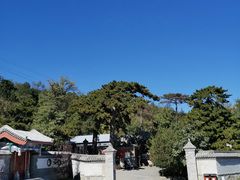 -阳台山自然风景区