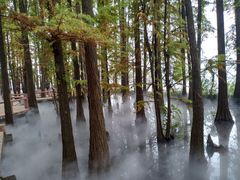 -东湖落雁景区