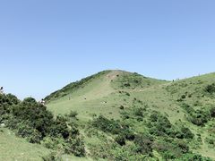 -大姆山草场
