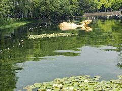 -西湖天地