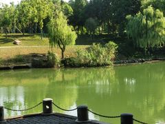 -中国湿地博物馆