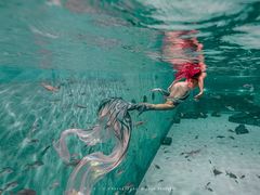 -上海潜殿潜水中心