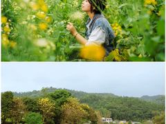 -红山村