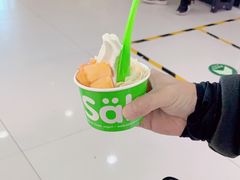 -Salud撒露欧洲冻酸奶(五道口购物中心店)