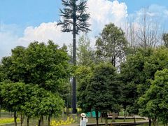 -中国天府农业博览园