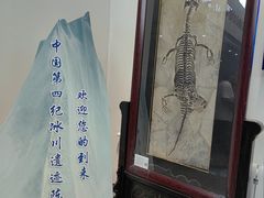 -中国第四纪冰川遗迹陈列馆