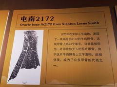 -安阳博物馆
