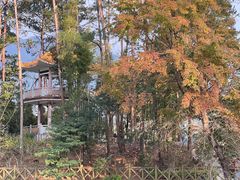 -广州市流溪河国家森林公园