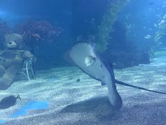 -常州海昌海洋探索馆